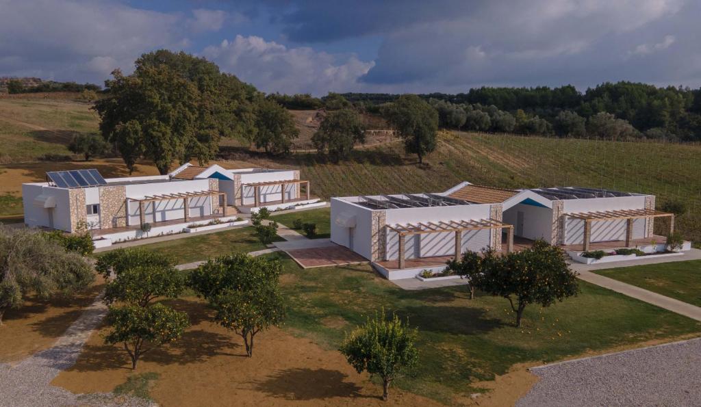 Atrium Vinea Brintziki Winery photo 1