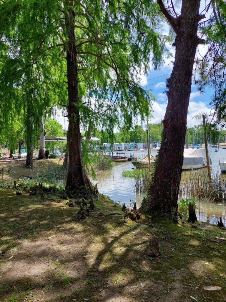 Paraiso Flotante photo 3