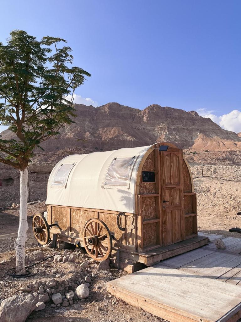 Badolina Ein Gedi Glamping photo 1
