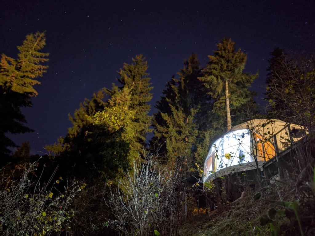 Ajara Glamping Kokotauri photo 4