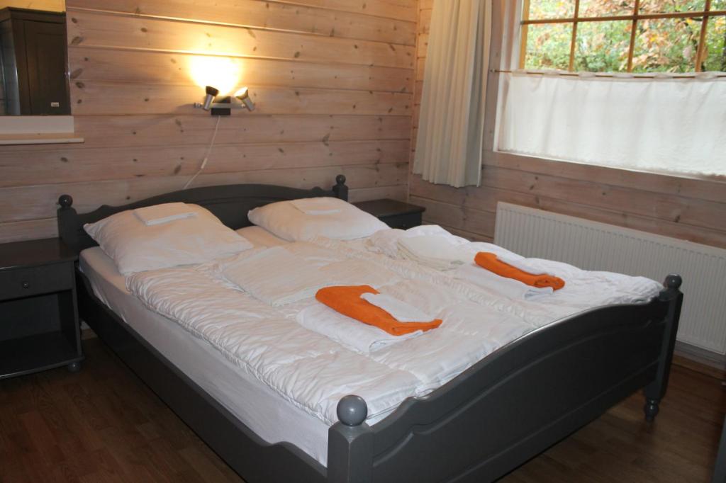 Chalet Nieuw Beusink photo 4