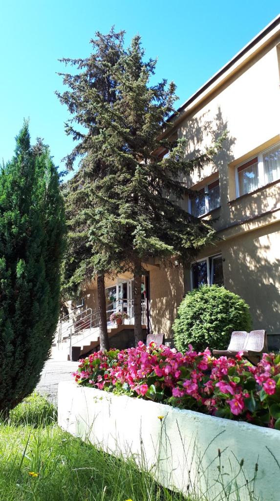 Hotel Skaut photo 4