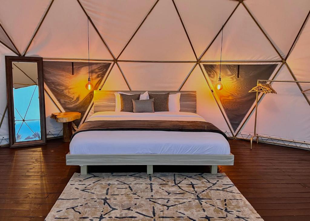 Golden Glamping photo 2