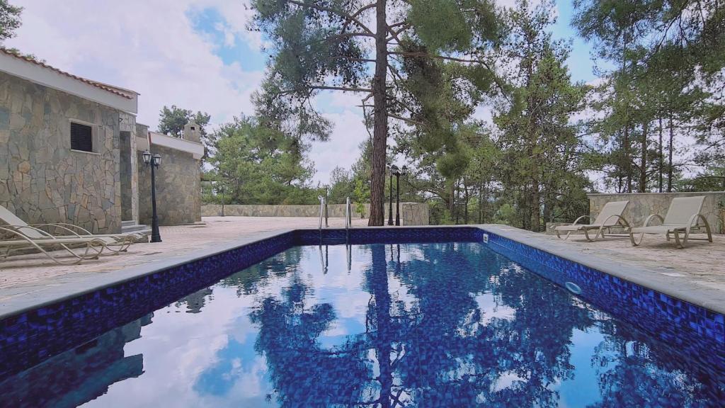 STAY Forest View Villa photo 2