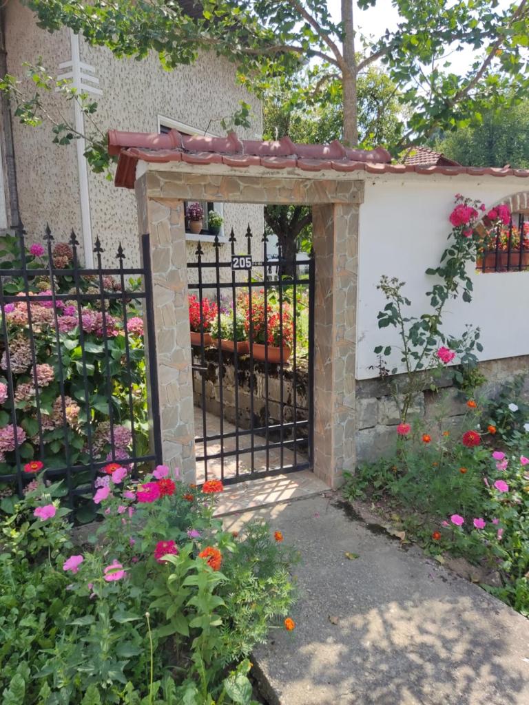 къща за гости Хайк photo 1