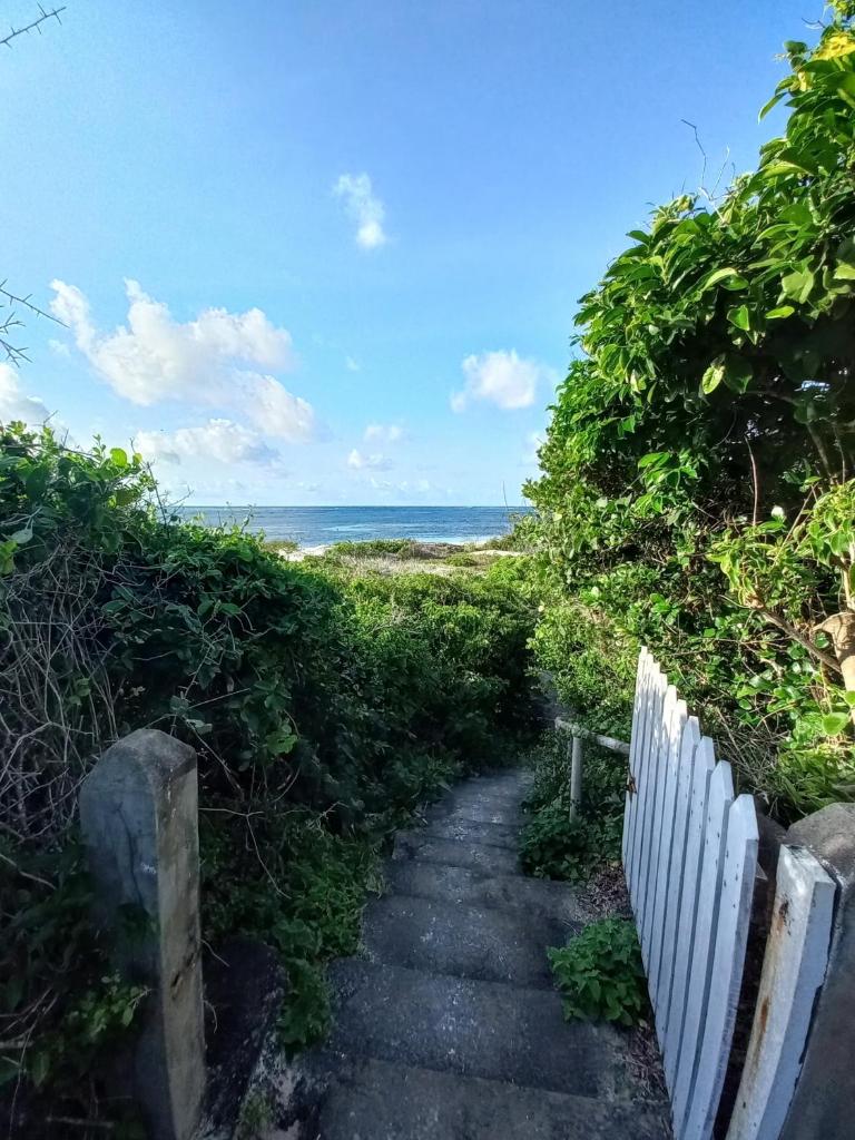 Watamu Beach Cottages photo 4