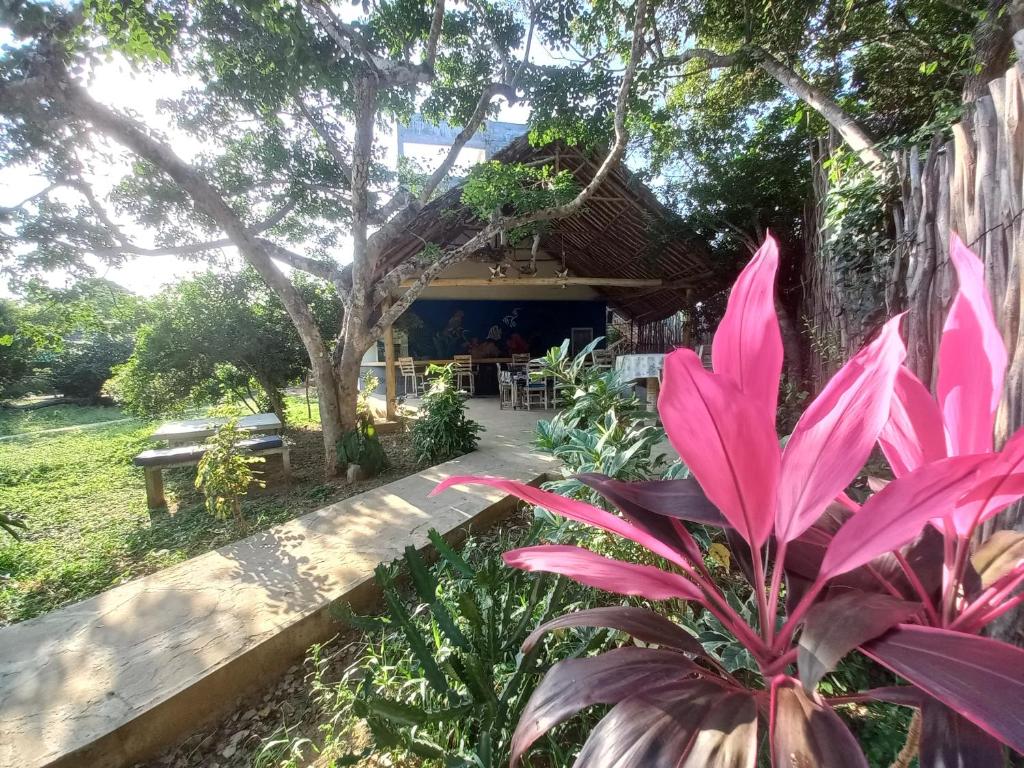 Watamu Beach Cottages B&B photo 2