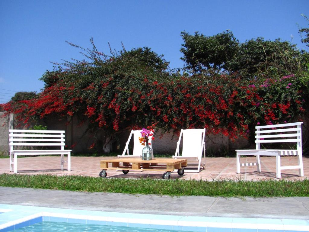LAS PALMERAS HOSTAL photo 2