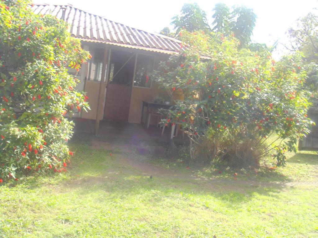 Cabañas Varua photo 4