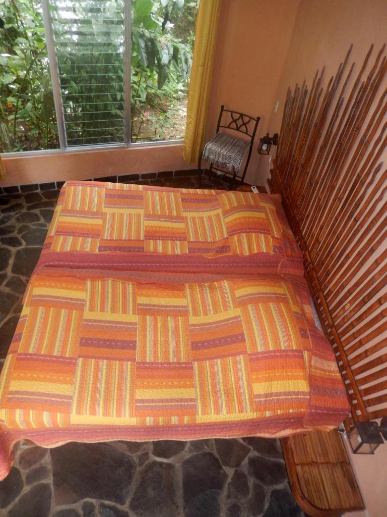 Heliconia Island photo 4