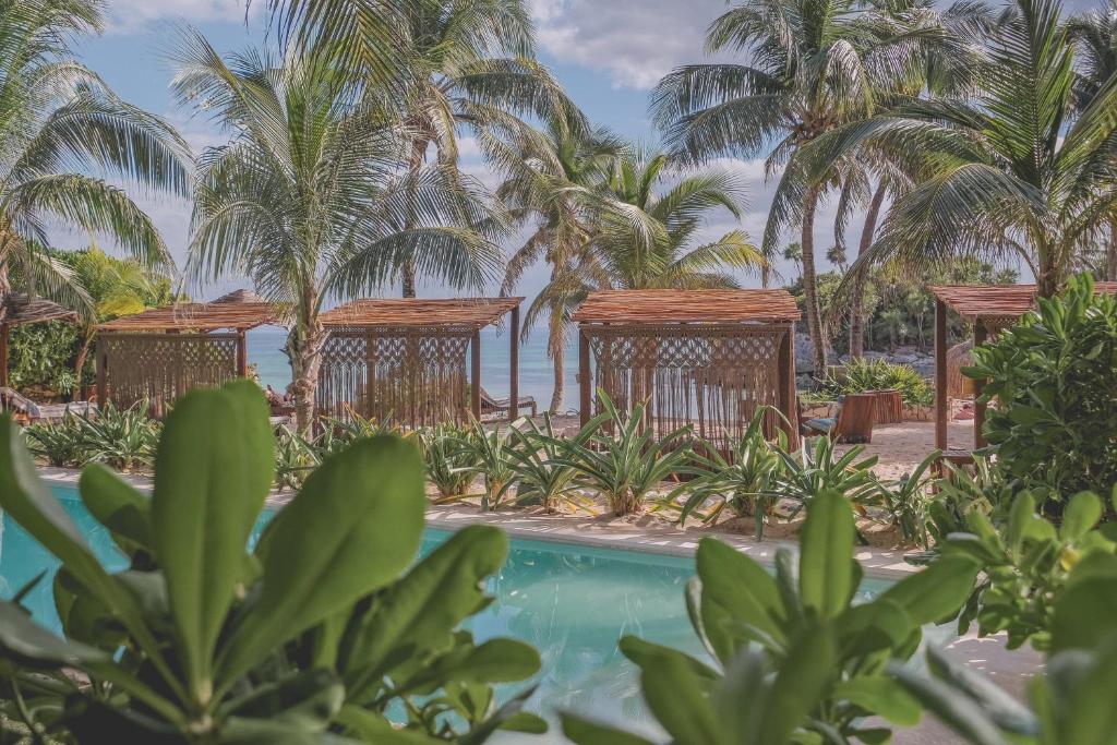 Maria Del Mar Tulum - Adults Only photo 3
