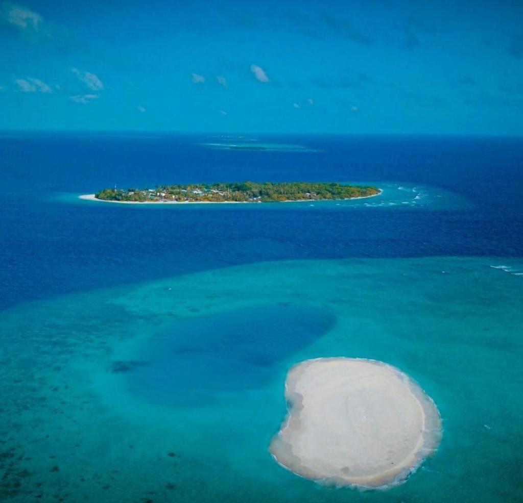 Paradisola photo 4