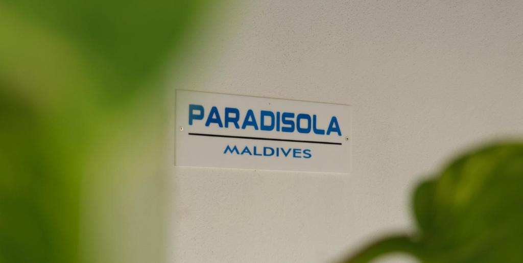 Paradisola photo 2
