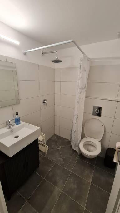 Adorable Basement Apartment in a Kibbutz photo 3