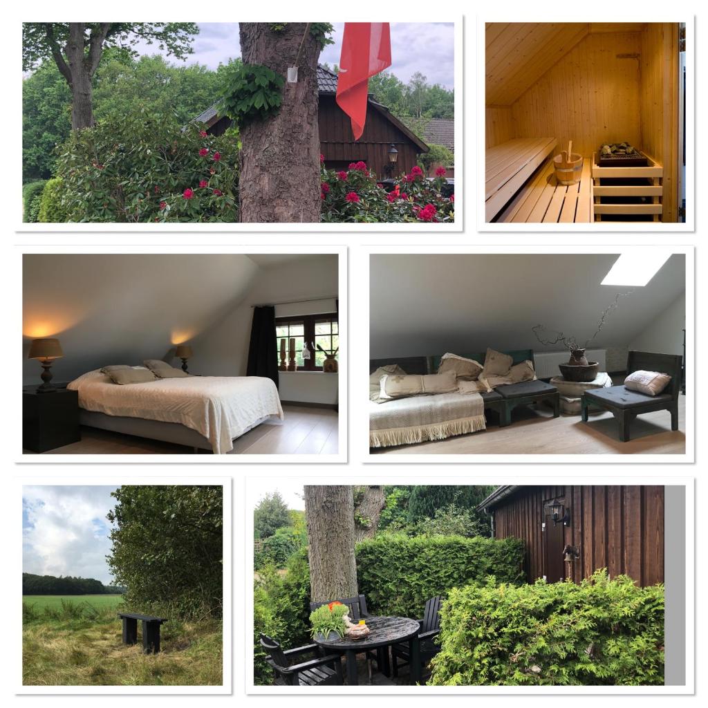 B&B De Drentse Es photo 1
