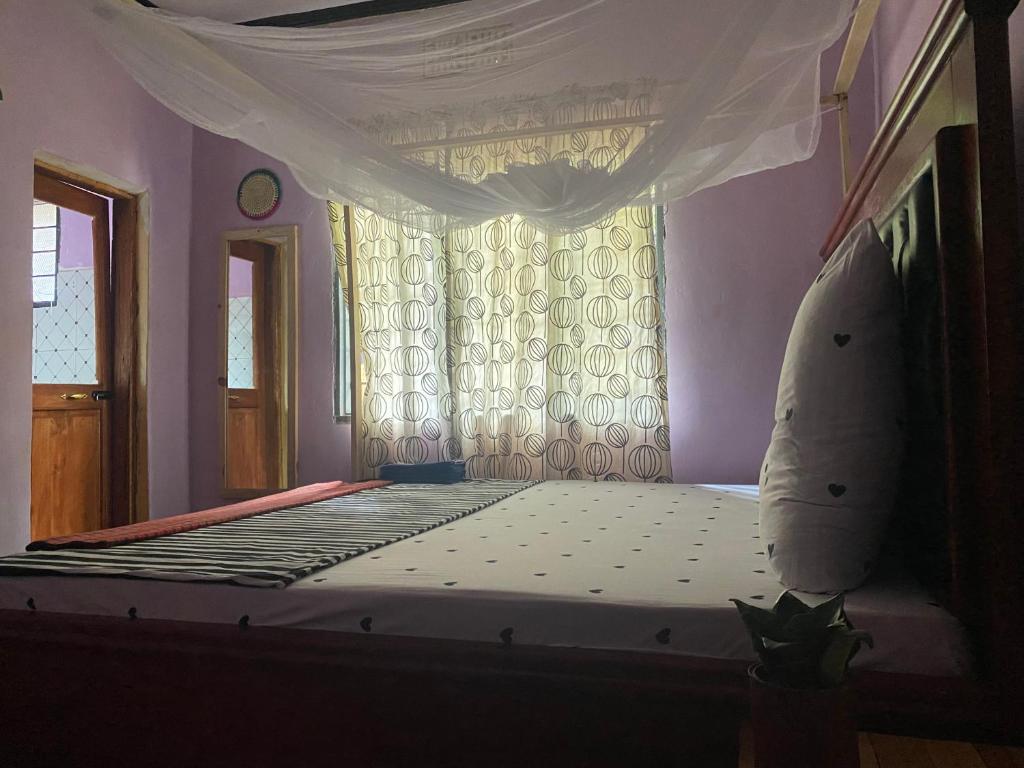 Ava garden backpackers photo 2