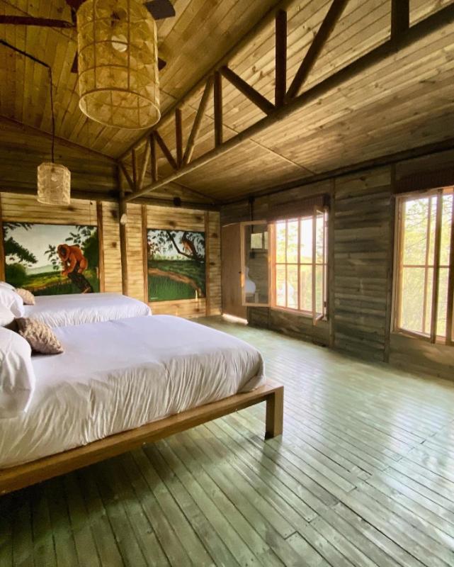 Ankua Eco Hotel photo 4
