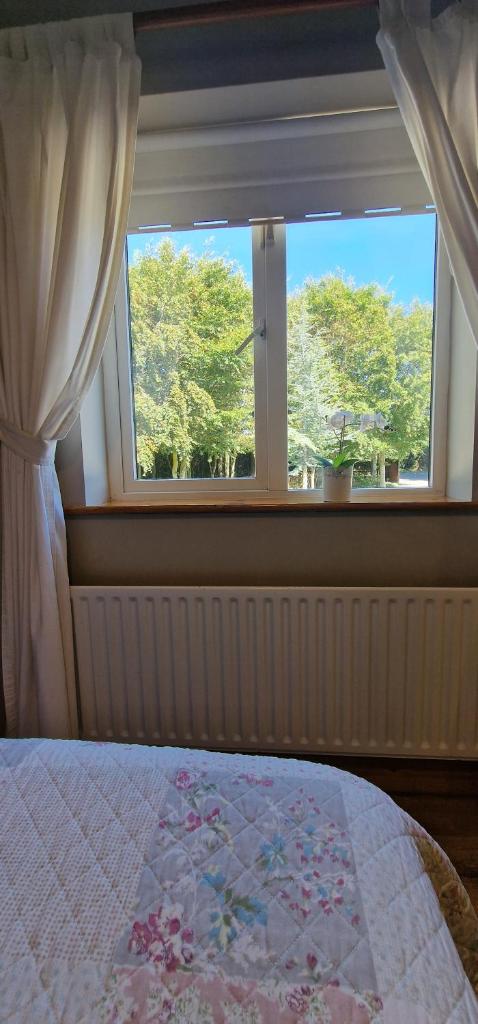 LittleField B&B Durrow, Laois photo 4