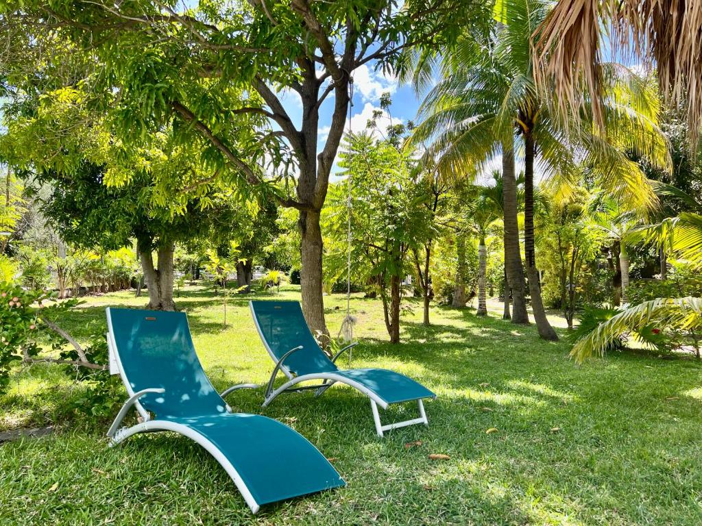 JOLIE CREOLE- Villa sur le lagon photo 3