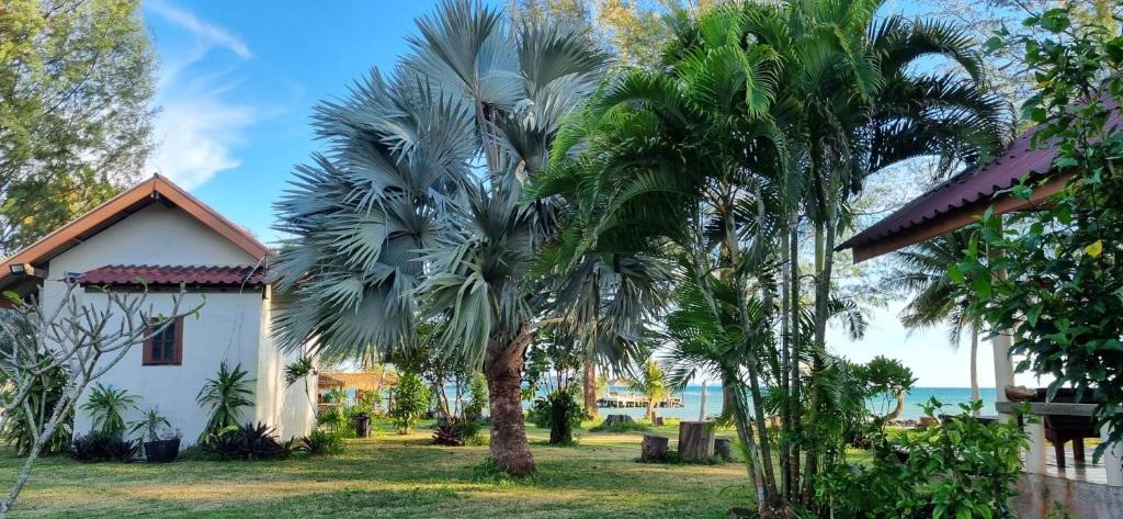 T.K. Beach Resort Koh Mak - Tap to explore photos