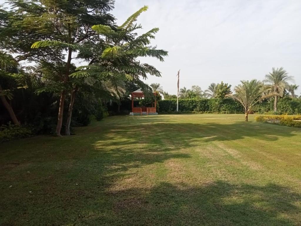 Mansouryah palace photo 1