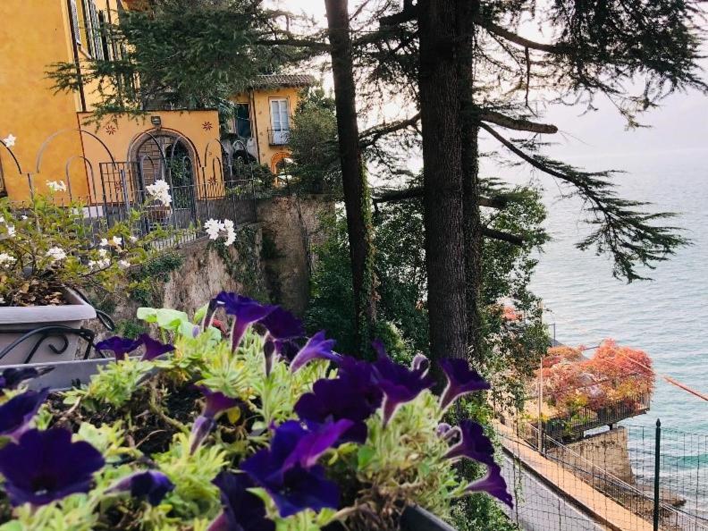 Rosa dei Venti - Lake view Apartments & Suites Room Type - Deluxe Room