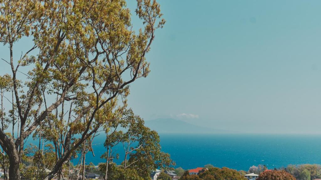 Playliving IZU - A ocean view villa with Onsen photo 4