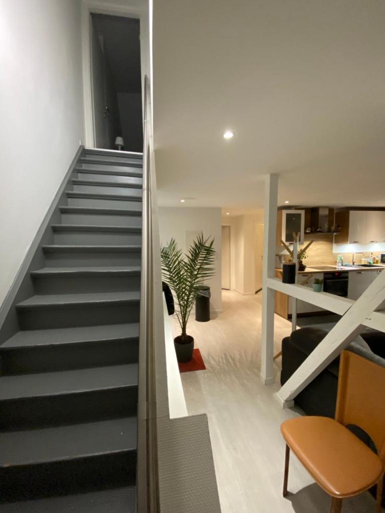 Superbe Duplex Strasbourg photo 4