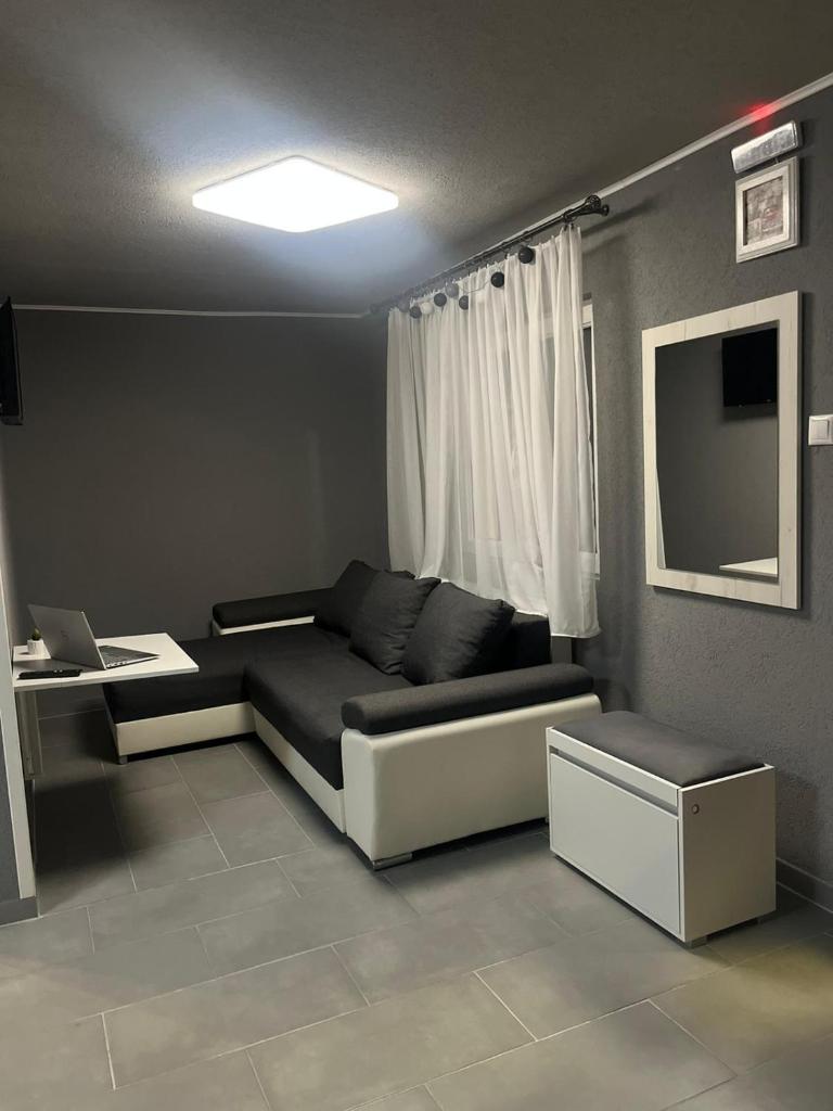 Casa de vacanță Cheșa photo 3