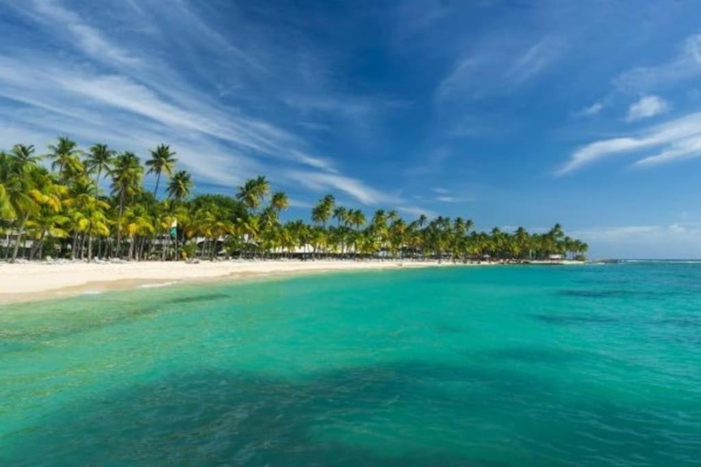 Bungalow créole Corail dans domaine tropical photo 4