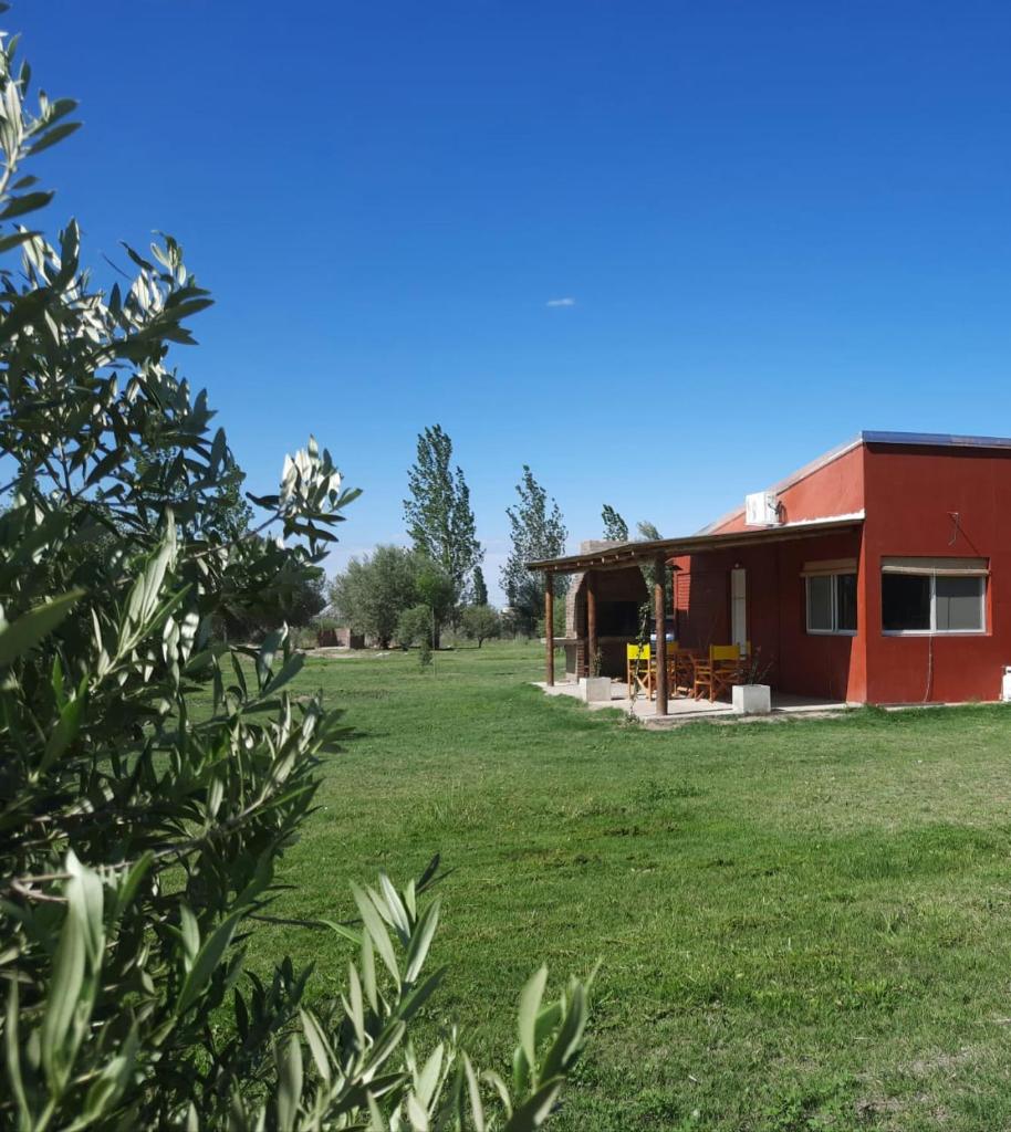 Finca La Calma photo 4