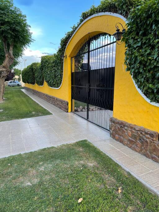 Yellow House photo 1