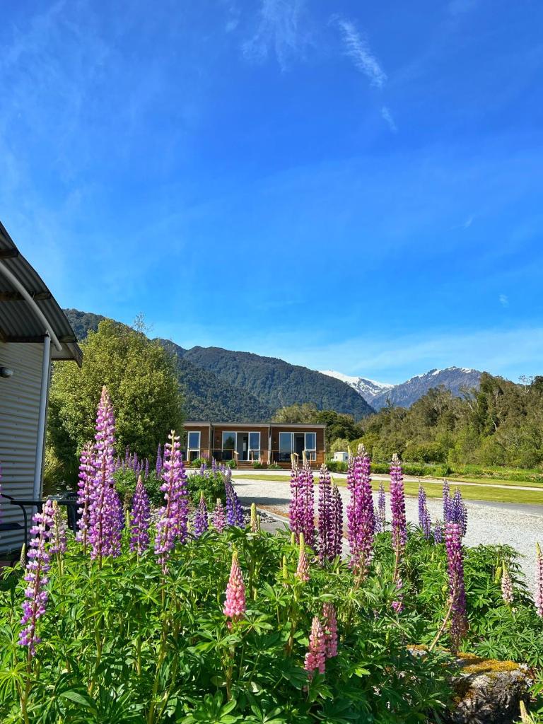 Franz Alpine Retreat photo 1