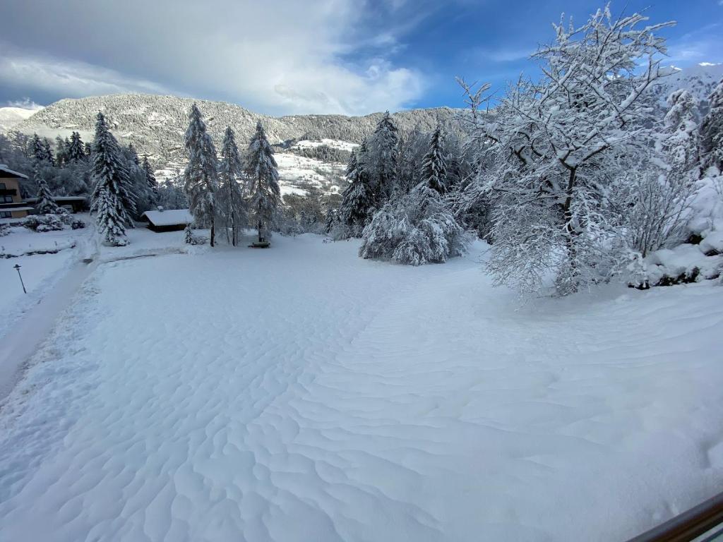 Ferienhaus Oetztal photo 4