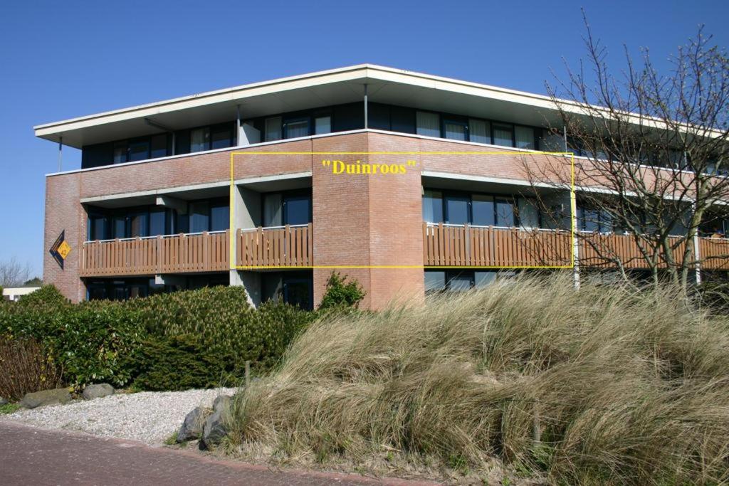 Duinroos photo 3