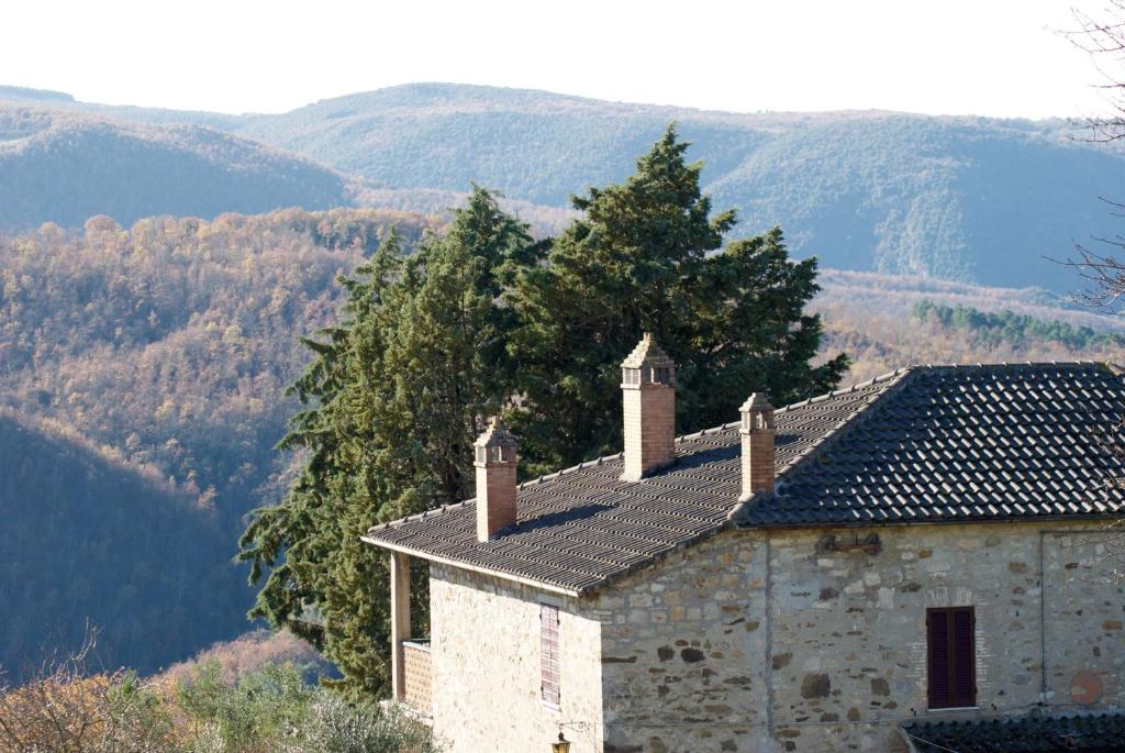 Agriturismo La Malcontenta e il Lupo photo 2