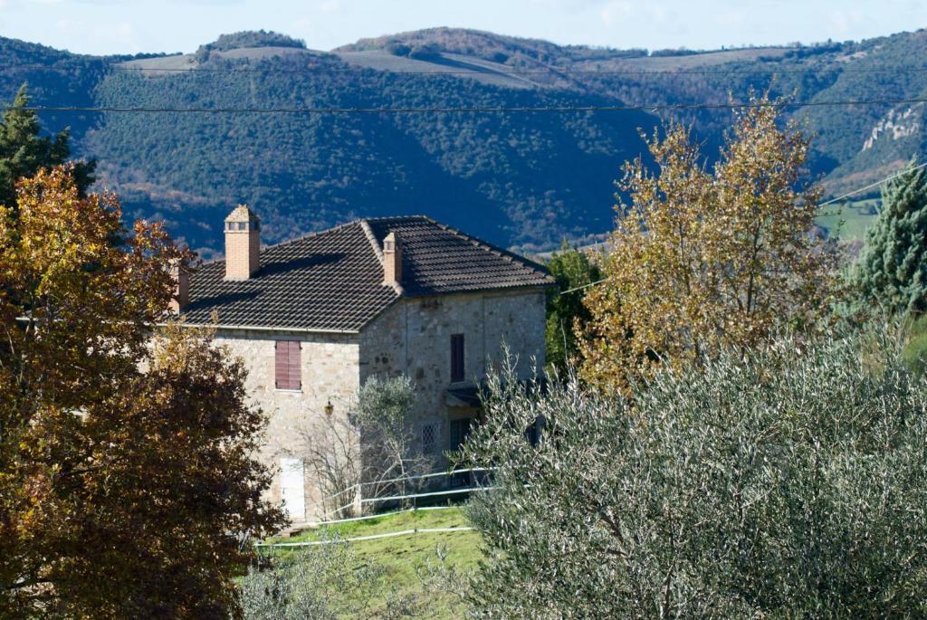 Agriturismo La Malcontenta e il Lupo photo 1