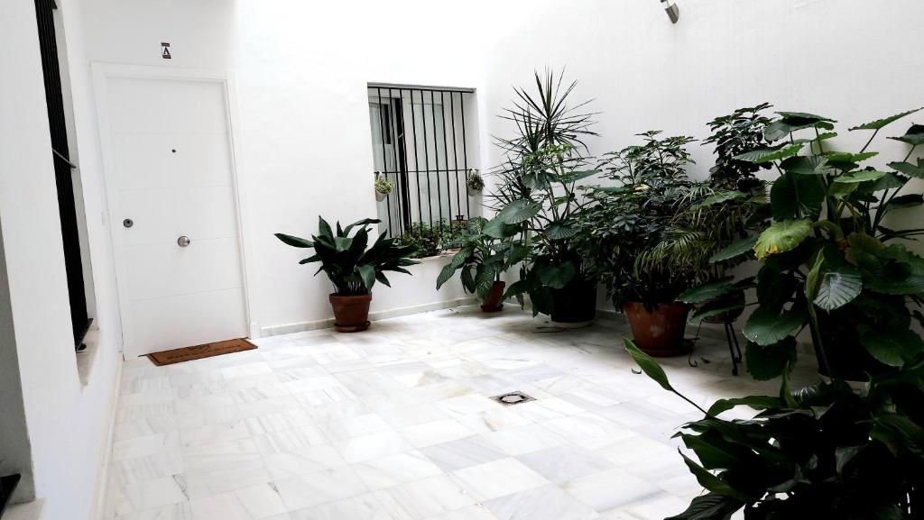ENTREARCOS photo 3