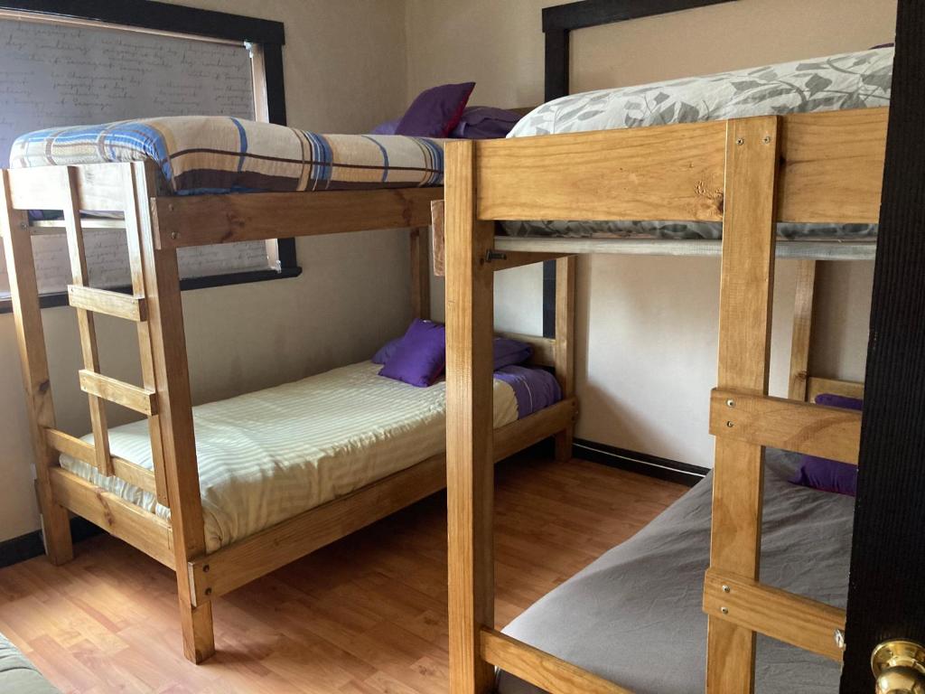 Hostal Newen Osorno photo 4