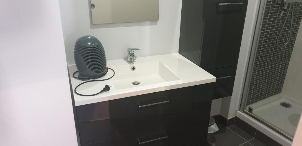 Appartement T2 45 m² en centre-ville photo 2