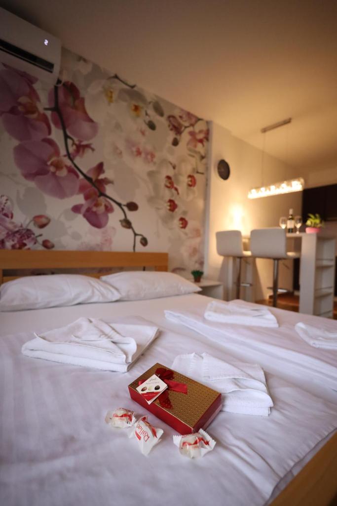 Apartman Dana photo 2