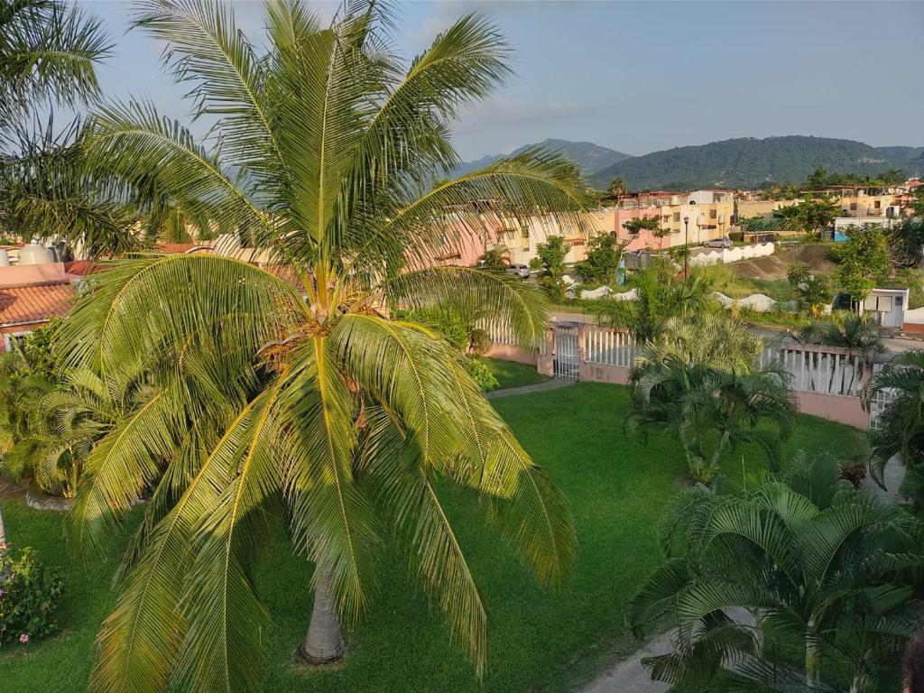 Casa el Palmar, the best house in Ixtapa photo 3