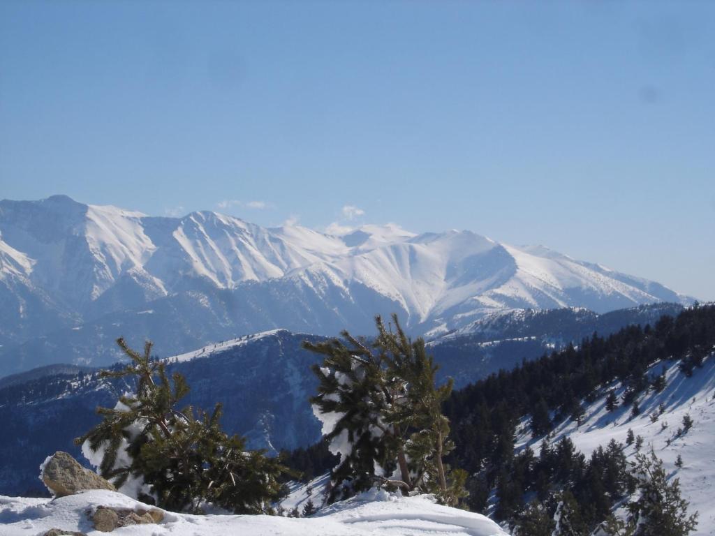 Vaela Hotel Cultural Resort photo 3