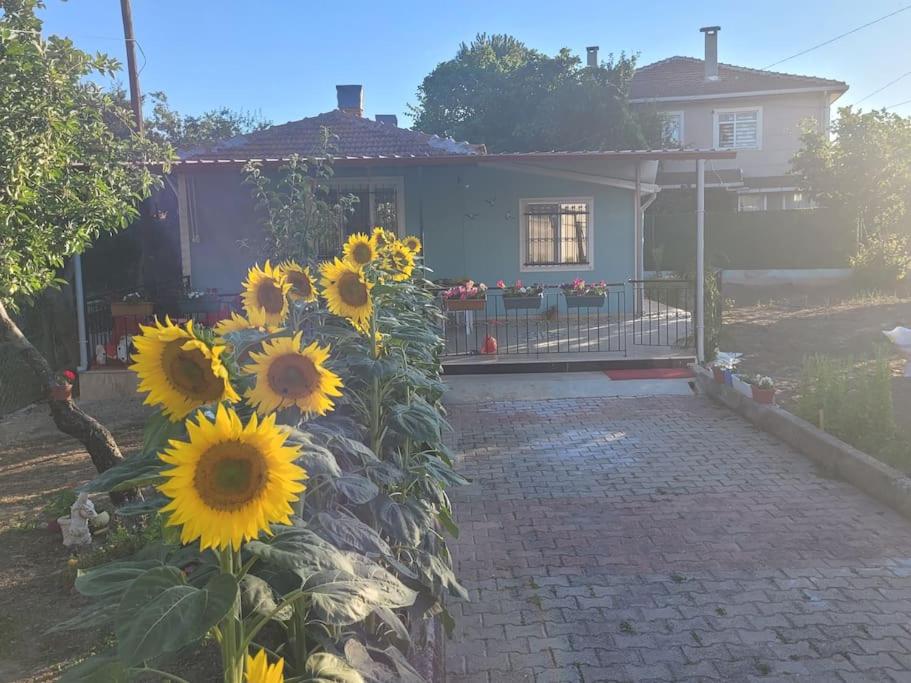 in the village, with a garden, one floor. Detached