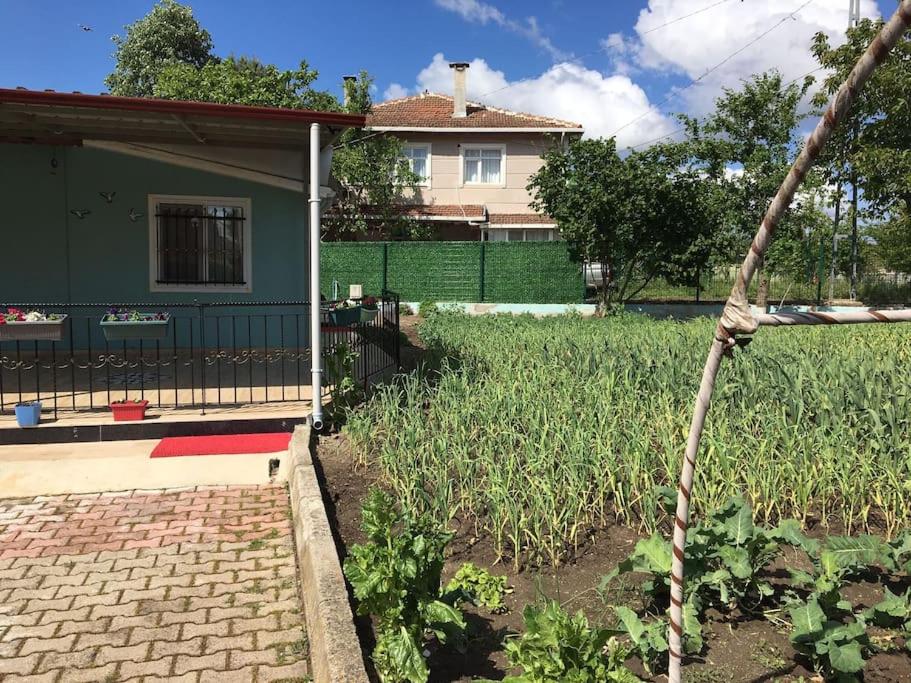 in the village, with a garden, one floor. Detached photo 1