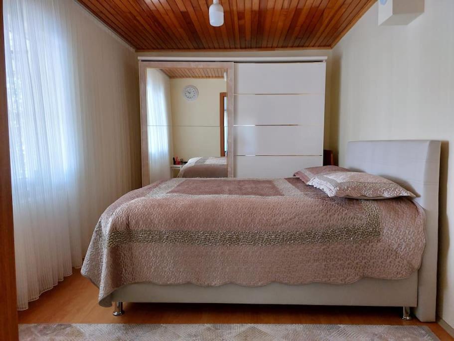 in the village, with a garden, one floor. Detached photo 2
