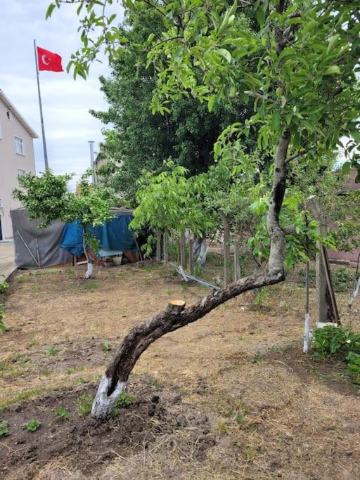 in the village, with a garden, one floor. Detached photo 3