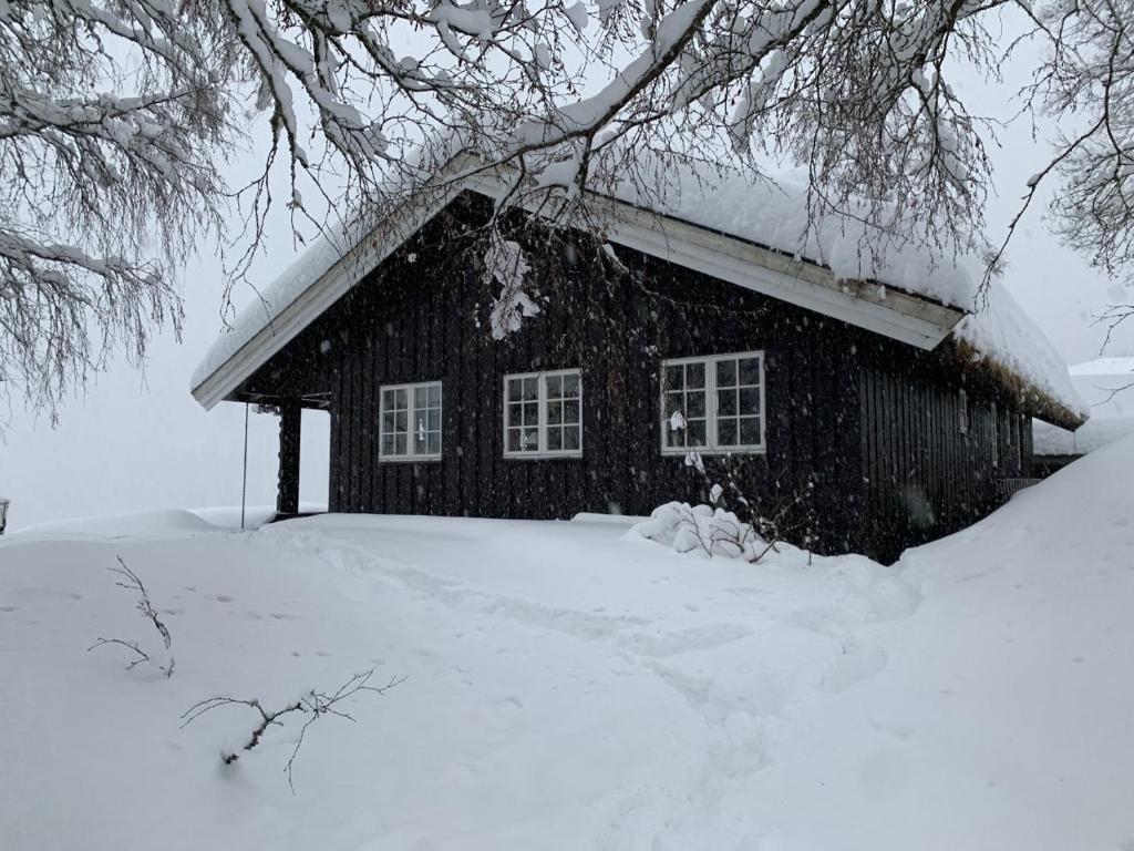 Kultan photo 1