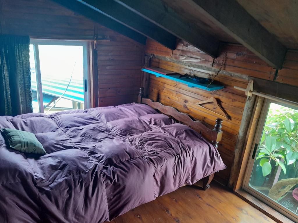 Bunker Hostel photo 3