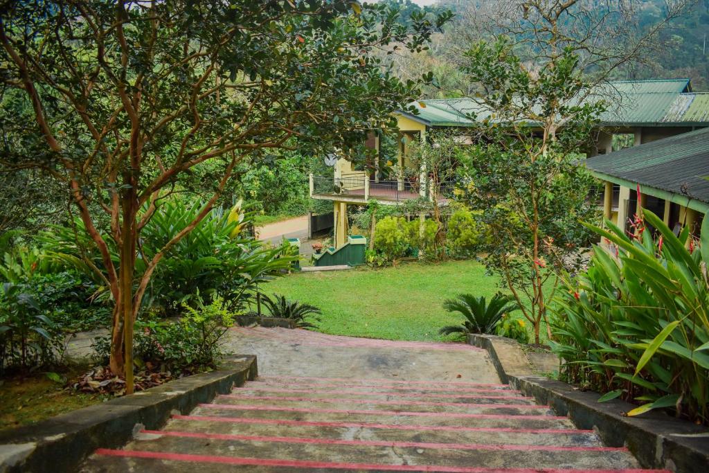 Blue Magpie Lodge Sinharaja photo 1